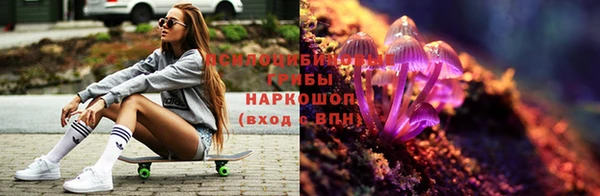 СК Зеленокумск