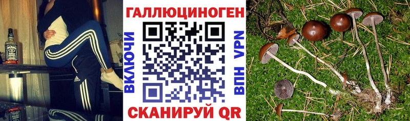 Купить  Ахтубинск  Галлюциногенные грибы мухоморы 